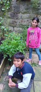 Klikněte pro zvětšení obrázku p1i8pctgmsq5t199dgt43451absf.jpg