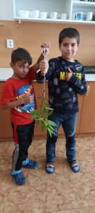 Klikněte pro zvětšení obrázku p1i8pctgn311qg1diks8d1q0p3a4s.jpg