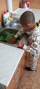 Klikněte pro zvětšení obrázku p1i8pctgn3f6k1ssv16in11s9i7ut.jpg