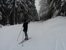 Klikněte pro zvětšení obrázku p1e0nh5vik1ihb1i181he4m3n18b59.JPG