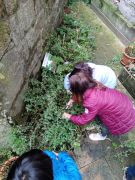 Klikněte pro zvětšení obrázku p1ge6fe4co66118sk10631t601rq0a.jpg