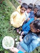 Klikněte pro zvětšení obrázku p1ge6fe4cojsoqg3cpedv9s109.jpg