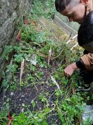 Klikněte pro zvětšení obrázku p1ge6fe4cq1m431c8613hi11pd125ql.jpg