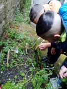 Klikněte pro zvětšení obrázku p1ge6fe4cr19nd4h387m1seks2mm.jpg