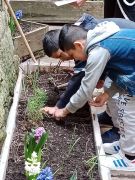 Klikněte pro zvětšení obrázku p1ge6fe4ct1h5t1q4ou7a1sk13equ.jpg