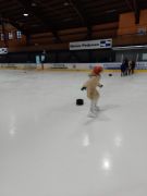 Klikněte pro zvětšení obrázku p1ikeu46m3acsgchbqdn4b8d26.jpg