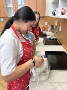 Klikněte pro zvětšení obrázku p1jljqggk53lp47vko115a46r89.jpeg