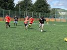 Klikněte pro zvětšení obrázku p1j6ac12a1odmos91pdi11sg1u6pa.jpeg