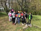 Klikněte pro zvětšení obrázku p1f6k2jskm1betbg281v2217lkc.jpg