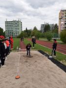 Klikněte pro zvětšení obrázku p1ir4l5p4527iqpq1uvonhqsmc5.jpg