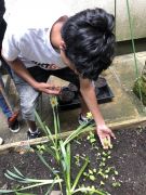 Klikněte pro zvětšení obrázku p1gejtuv5e13i2qhu13at184c9sph.JPEG