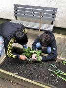 Klikněte pro zvětšení obrázku p1gejtuv5e1eklqq8kpl18v91p41j.JPEG