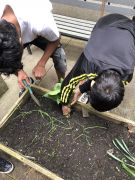 Klikněte pro zvětšení obrázku p1gejtuv5eoisuuh4fj47q1ugdi.JPEG