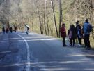 Klikněte pro zvětšení obrázku p1f50na3e51p5h3s1a1k11gv1vvne.JPG