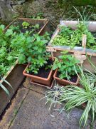 Klikněte pro zvětšení obrázku p1ge459usd31034pd1s1fem1kv5b.jpg