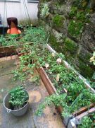 Klikněte pro zvětšení obrázku p1ge459useqss1jdl9ph14hj1hnpf.jpg