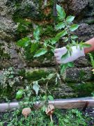 Klikněte pro zvětšení obrázku p1ge459usf1v3q139h1sbor301n0ug.jpg