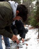 Klikněte pro zvětšení obrázku p1ctv6hpfg1jtj11v4to11bhv1147a.jpg