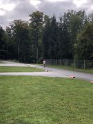 Klikněte pro zvětšení obrázku p1gejv6vri1gp41p5kf2hh281b4gc.JPEG