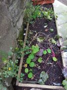 Klikněte pro zvětšení obrázku p1i8pdcbcf1lr1t0ne4r10g21evm8.jpg