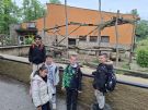 Klikněte pro zvětšení obrázku p1jrfkbr6rq7l1skn1qqp9478g9d.jpg