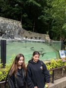 Klikněte pro zvětšení obrázku p1jrfkbr6rvvv1c1p6f81br3o53b.jpg