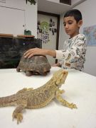 Klikněte pro zvětšení obrázku p1j7hbvklo1i1m9c31s251ubgst1n.jpg
